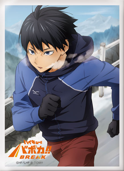 ﾊｲｷｭｰ!! ﾊﾞﾎﾞｶ!! BREAK DXｶｰﾄﾞｽﾘｰﾌﾞ Vol.1｢影山 飛雄｣