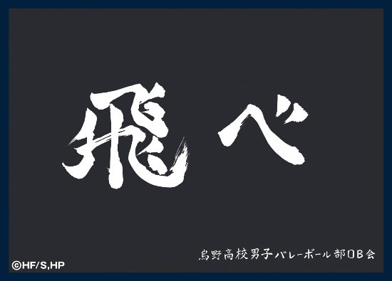 AmiAmi [Character & Hobby Shop] | Matte Sleeve Collection Haikyuu!!  Karasuno High School (Banner) Pack(Released)