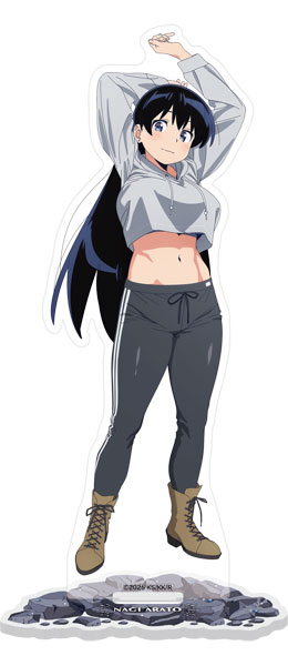 ロザリオとバンパイア 下敷き AmiAmi [Character & Hobby Shop]