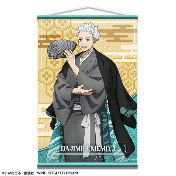 AmiAmi [Character & Hobby Shop] | TV Anime 