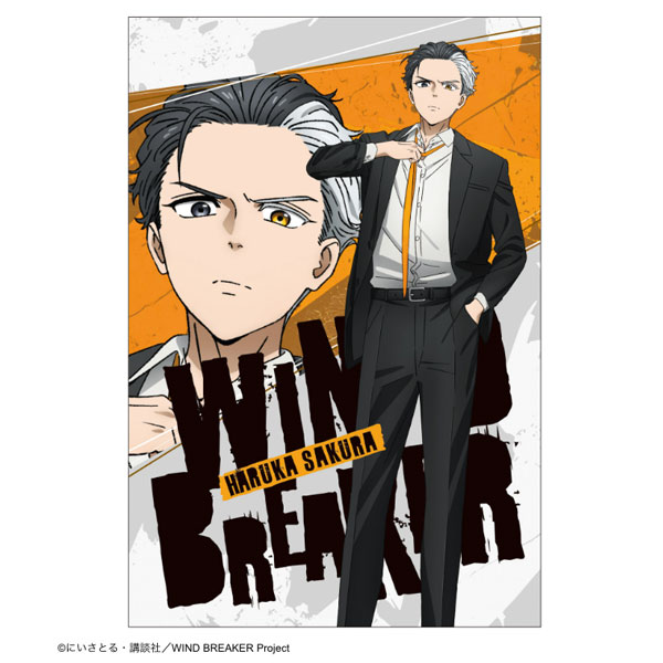 AmiAmi [Character & Hobby Shop] | WIND BREAKER Postcard Suit ver