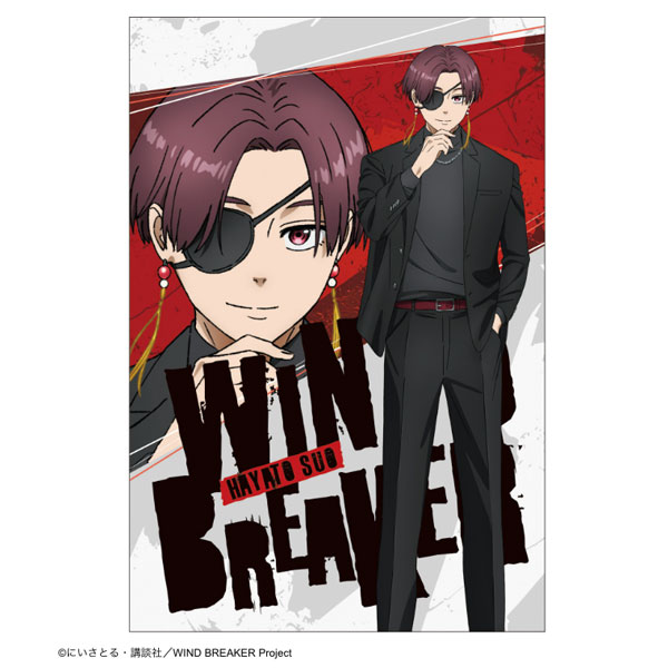 AmiAmi [Character & Hobby Shop] | WIND BREAKER Postcard Suit ver