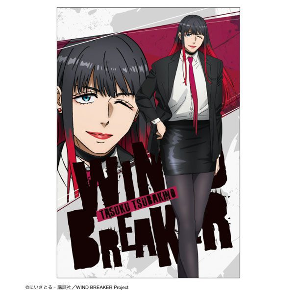 その他 WIND BREAKER Amazon.com: Wind Breaker T11: 9782811687380: Satoru, Nii