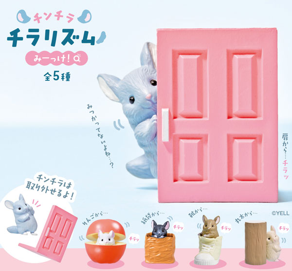 AmiAmi [Character & Hobby Shop] | Chinchilla Chila Rhythm