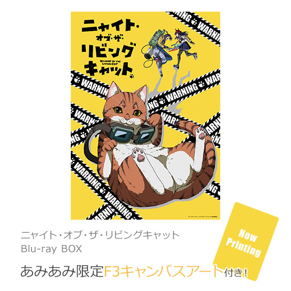 もえ漢字あみあみ限定タペストリー付き＋もえかな2個+ ブースターパックセット FLYMEe BASIC DUST BOX / フライミーベーシック ダストボックス