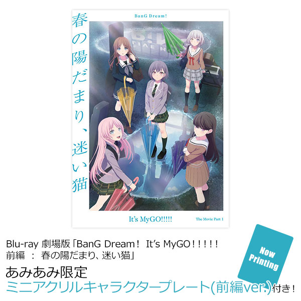 さゞなみ　DVD＋劇場パンフレット さゞなみ DVD＋劇場パンフレット - メルカリ