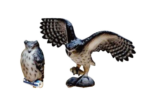 owl様 AmiAmi [Character & Hobby Shop] | 6-609 1/87 Blakiston's