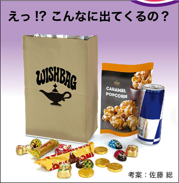 ｳｨｯｼｭﾊﾞｯｸﾞ