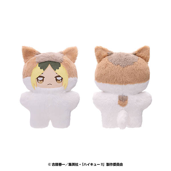 AmiAmi [Character & Hobby Shop] | Anime 