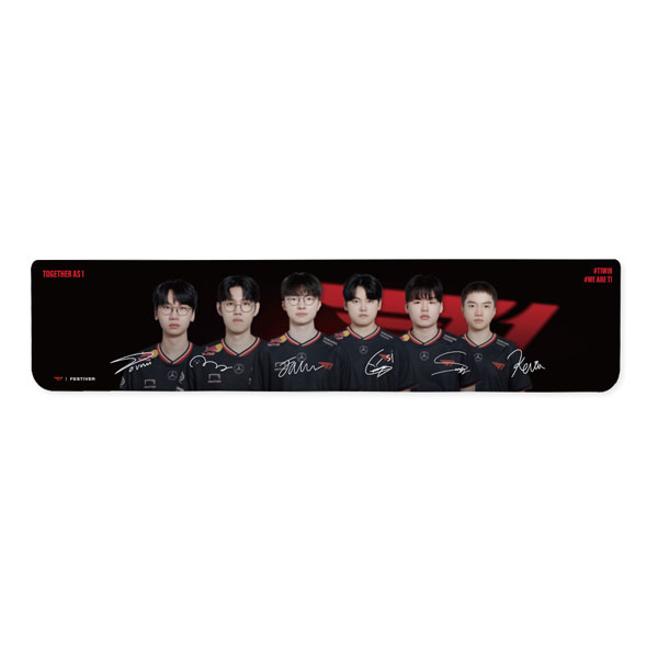FESTIVER T1 Group Acrylic Wrist Rest Full Size
