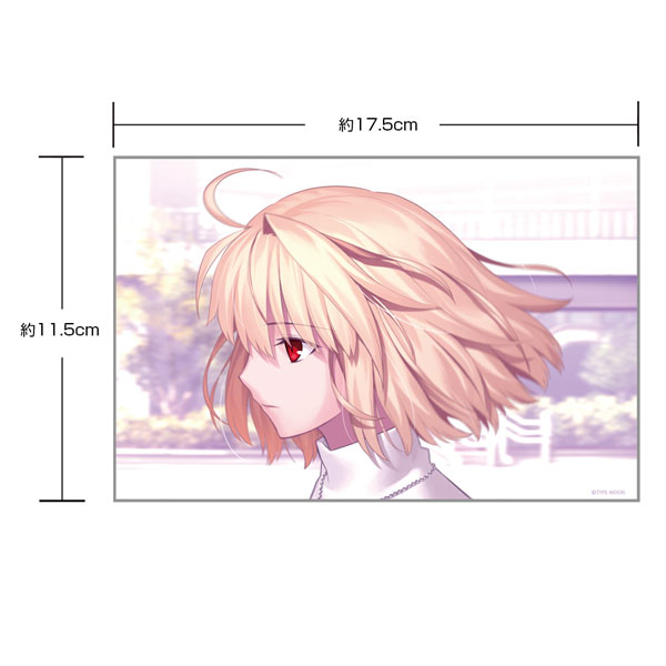COSPA Tsukihime -A piece of blue glass moon- Arcueid Brunestud Yokogao no Kimi Acrylic Art Stand