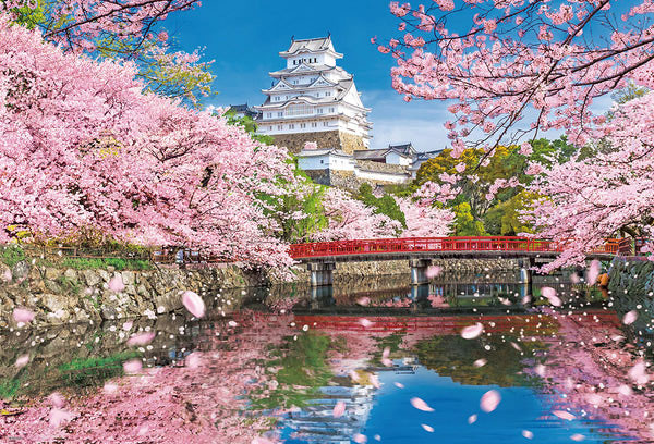 AmiAmi [Character & Hobby Shop]