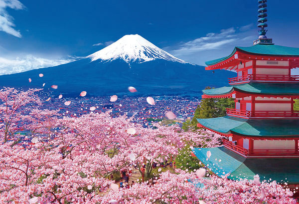 AmiAmi [Character & Hobby Shop]