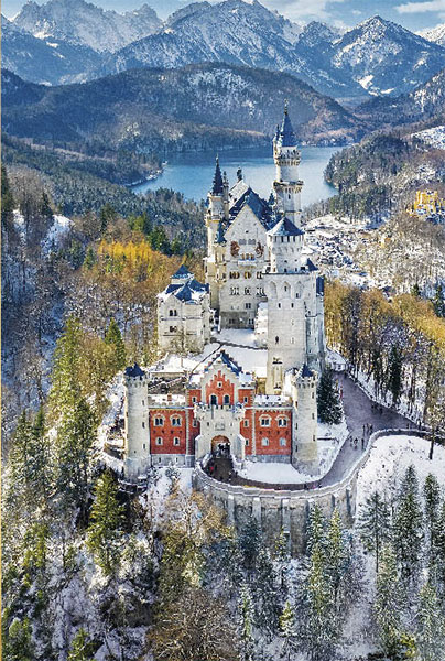 ②ザワザワ森の 904545 ①ザワザワ森の 904545 AUTHENTIC