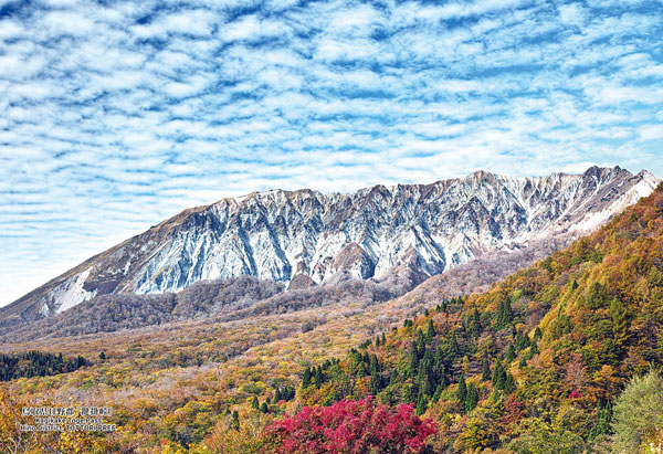 AmiAmi [Character & Hobby Shop]