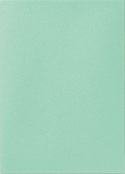 AT-15049 ｽﾀﾝﾀﾞｰﾄﾞｻｲｽﾞ Dual Matte Eucalyptus(100枚入り)