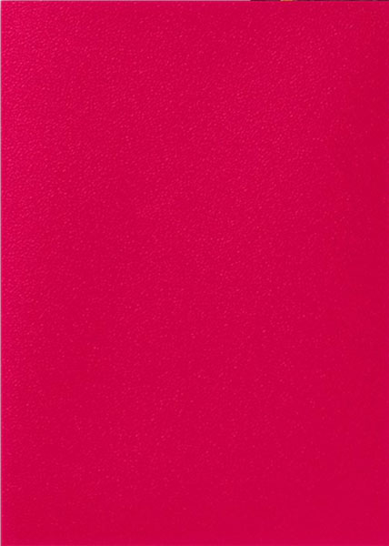 AT-15055 ｽﾀﾝﾀﾞｰﾄﾞｻｲｽﾞ Dual Matte Fury(100枚入り)