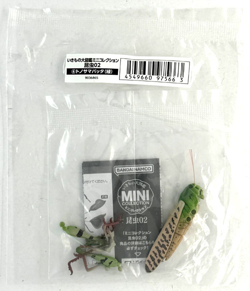 Bandai Ikimono Dai Zukan Mini Collection Insects 02 Migratory Locust (Green) รูปภาพ 1