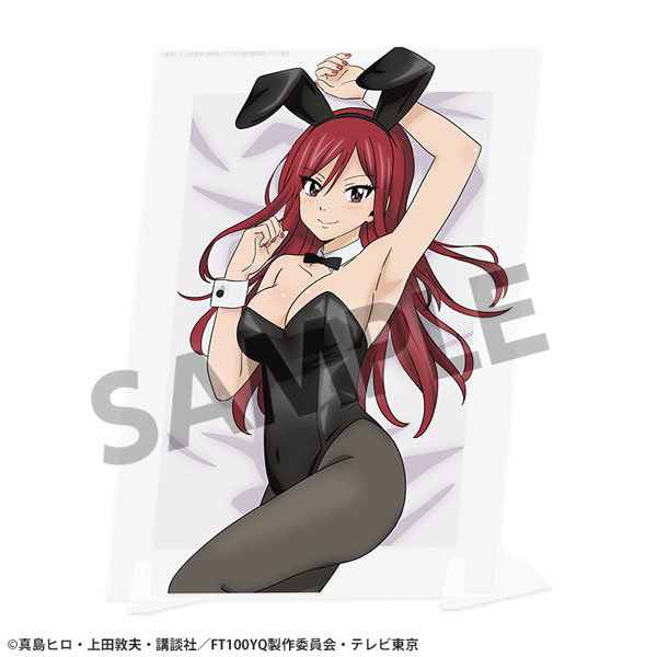 AmiAmi [Character & Hobby Shop] | FAIRY TAIL 100 Years Quest New