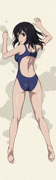 Strike the Blood New Illustration Premium Hugging Pillow Cover Yukina & Nagisa (Swimsuit)