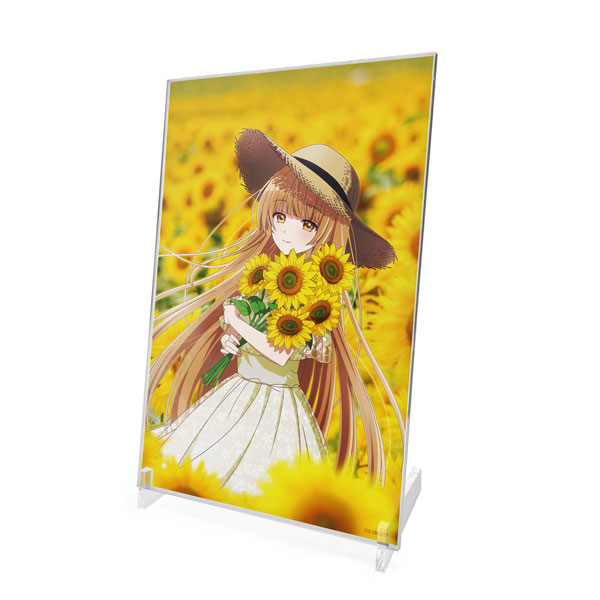 AmiAmi [Character & Hobby Shop]