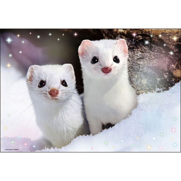 ﾋﾞﾊﾞﾘｰ300-188ひょっこりｴｿﾞｵｺｼﾞｮ