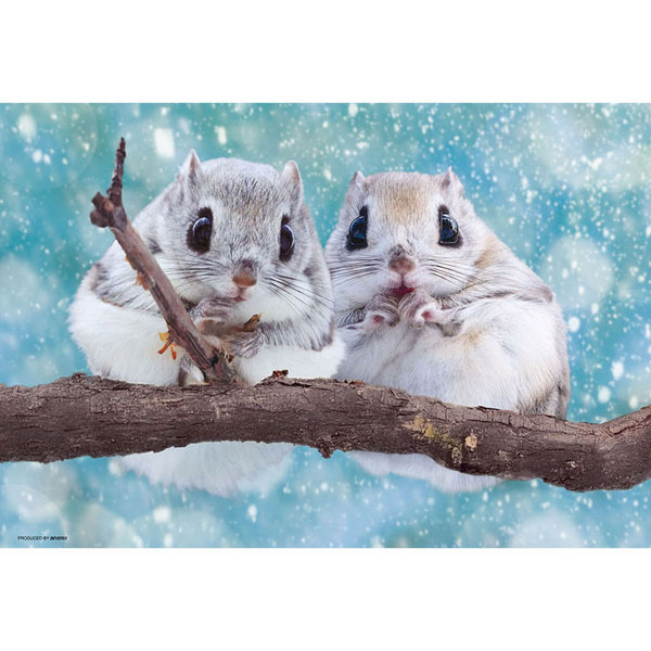 ﾋﾞﾊﾞﾘｰ300-189もちふわｴｿﾞﾓﾓﾝｶﾞ