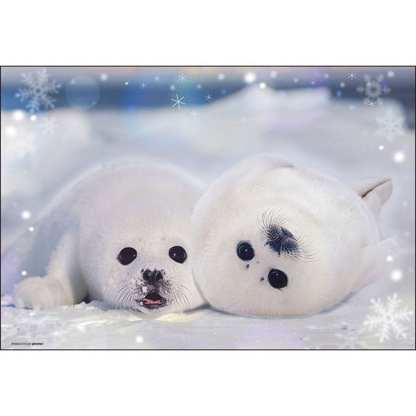 ﾋﾞﾊﾞﾘｰ300-190ｱｻﾞﾗｼの幼稚園