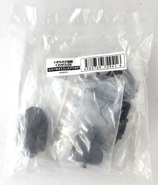 Bandai Ikimono Dai Zukan Stag Beetle 08 Rhaetulus Crenatus Speciosus รูปภาพ 1