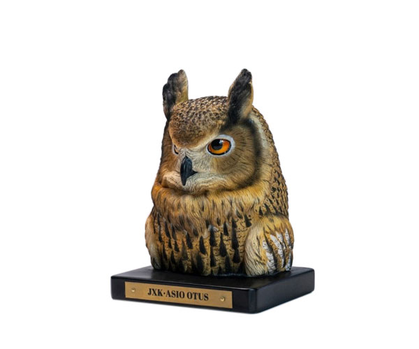 JXKｽﾀｼﾞｵ ｺﾉﾊｽﾞｸ ｽﾀﾁｭｰ