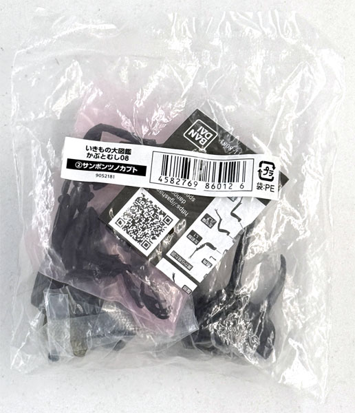 Bandai Ikimono Dai Zukan Beetle 08 Beckius Beccari รูปภาพ 1