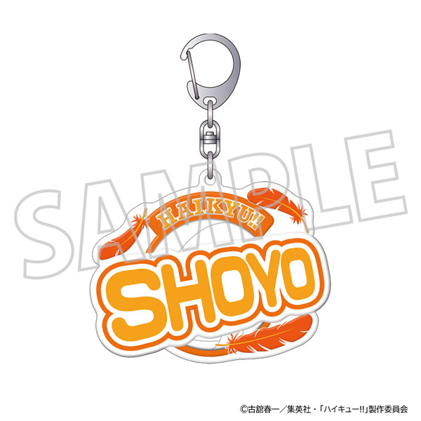 (s)ﾊｲｷｭｰ!! ぷくぽよ!ｷｰﾎﾙﾀﾞｰ 日向翔陽