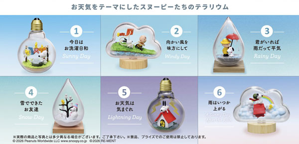 SNOOPY WEATHER terrarium