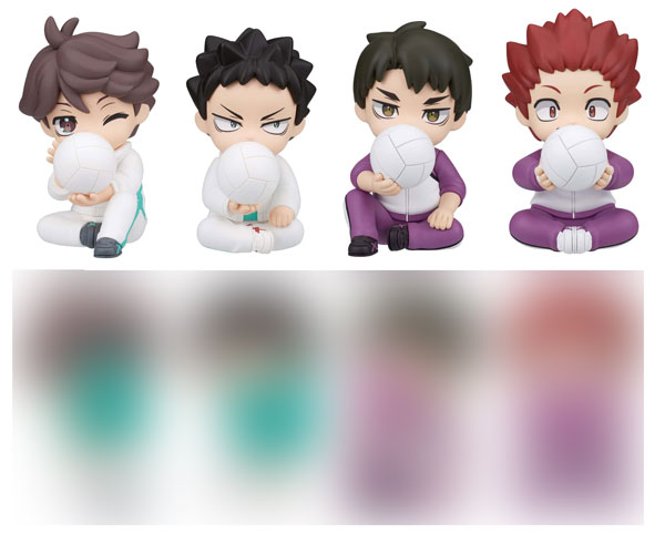 AmiAmi [Character & Hobby Shop] | PERIHAPI! Hide & Seek Haikyuu