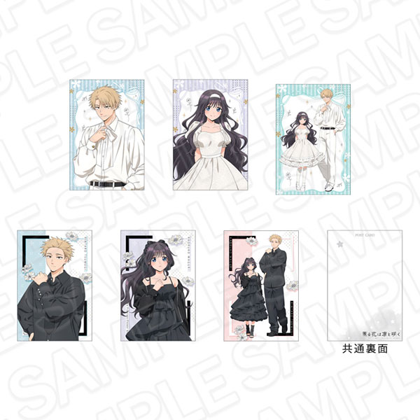 AmiAmi [Character & Hobby Shop] | TV Anime 