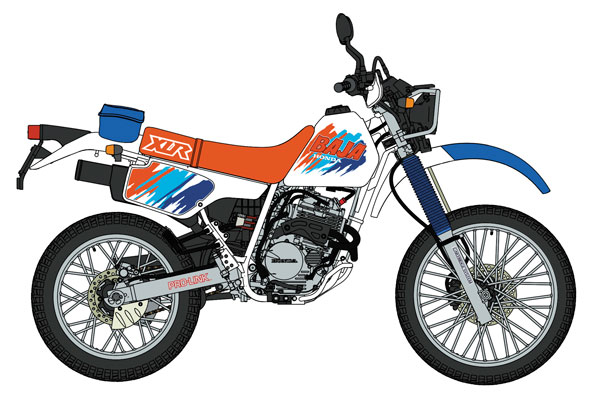 AmiAmi [Character & Hobby Shop] | 1/12 Honda XLR BAJA (MD22) (1992
