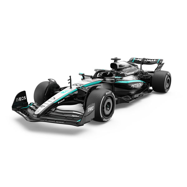 Doyusha 1/16 Mercedes AMG F1 W16 E Performance Plastic Model