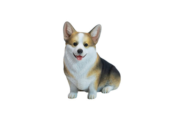 JXK Studio Sitting Corgi A รูปภาพ 1