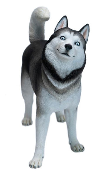 JXK Studio Husky รูปภาพ 1