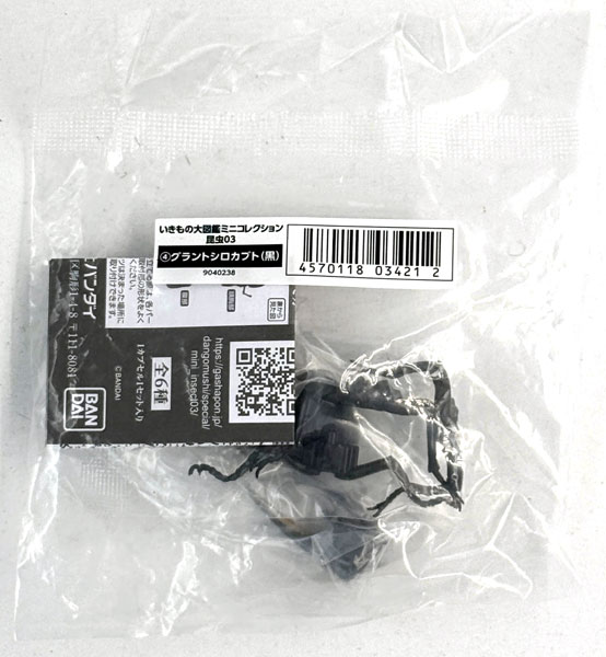 Bandai Ikimono Dai Zukan Mini Collection Insect 03 Grant's White Hercules Beetle (Black) รูปภาพ 1