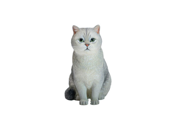 JXK Studio British Shorthair A รูปภาพ 1