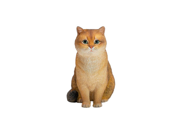 JXK Studio British Shorthair B