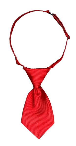 Toho My Hero Academia U.A. High School Uniform (Necktie / Izuku Midoriya) รูปภาพ 1