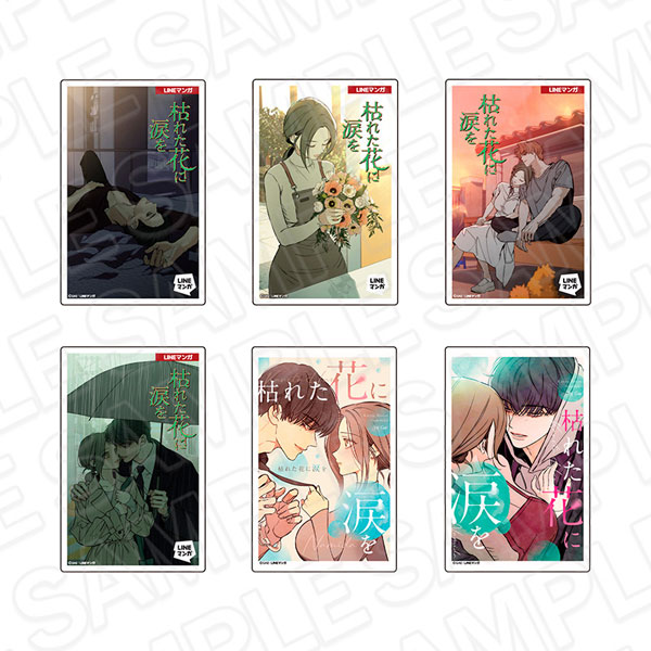 Contents Seed Tears on a Withered Flower Comic Design Style Acrylic Magnet (Random) 6 Item Set รูปภาพ 1