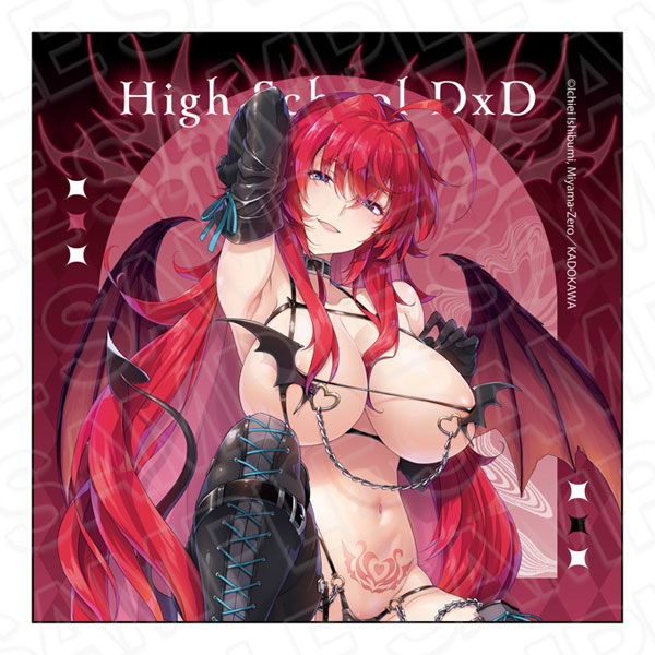 Contents Seed 하이스쿨 DxD 극세사 클로스 리아스 그레모리 서큐버스 & 수녀 ver. 이미지 1
