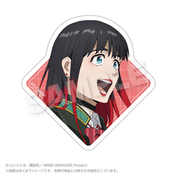 WIND BREAKER Acrylic Clip Tasuku Tsubakino