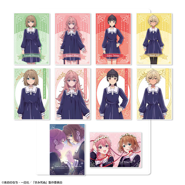 AmiAmi [Character & Hobby Shop] | TV Anime 