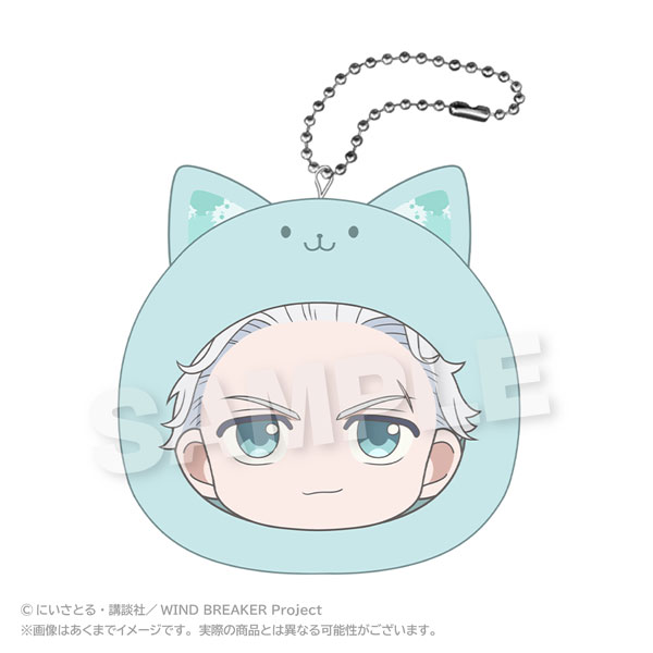 AmiAmi [Character & Hobby Shop] | WIND BREAKER Marumates Cushion