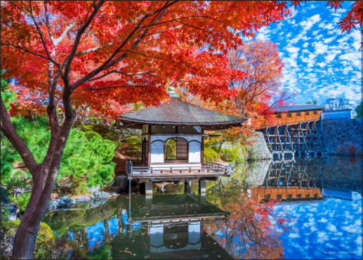 Jigsaw Puzzle Scenic Spot Wakayama Castle Nishi-no-Maru Gardens (Wakayama) 500pcs (05-1105)