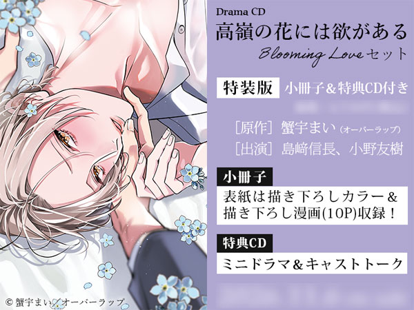 宵闇恋想奇譚（同人CD） AmiAmi [Character & Hobby Shop] | CD Drama CD 